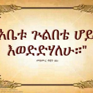 Meet your Posher, Bahiru